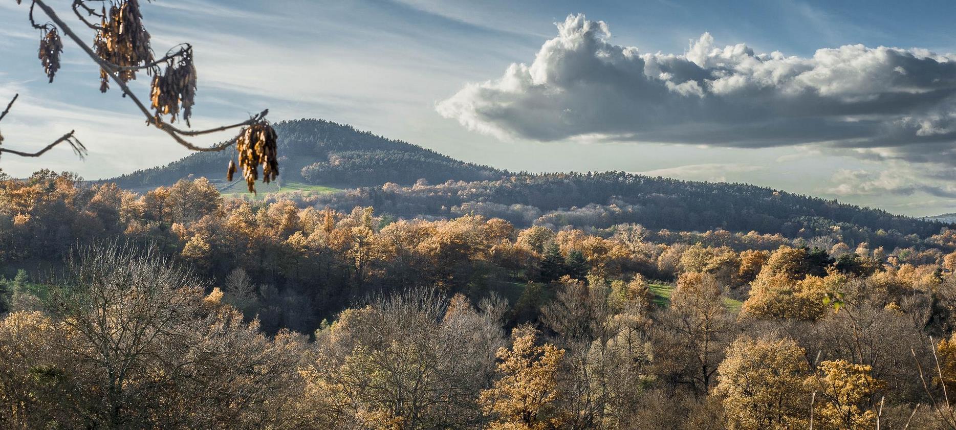la Chaîne des Puys