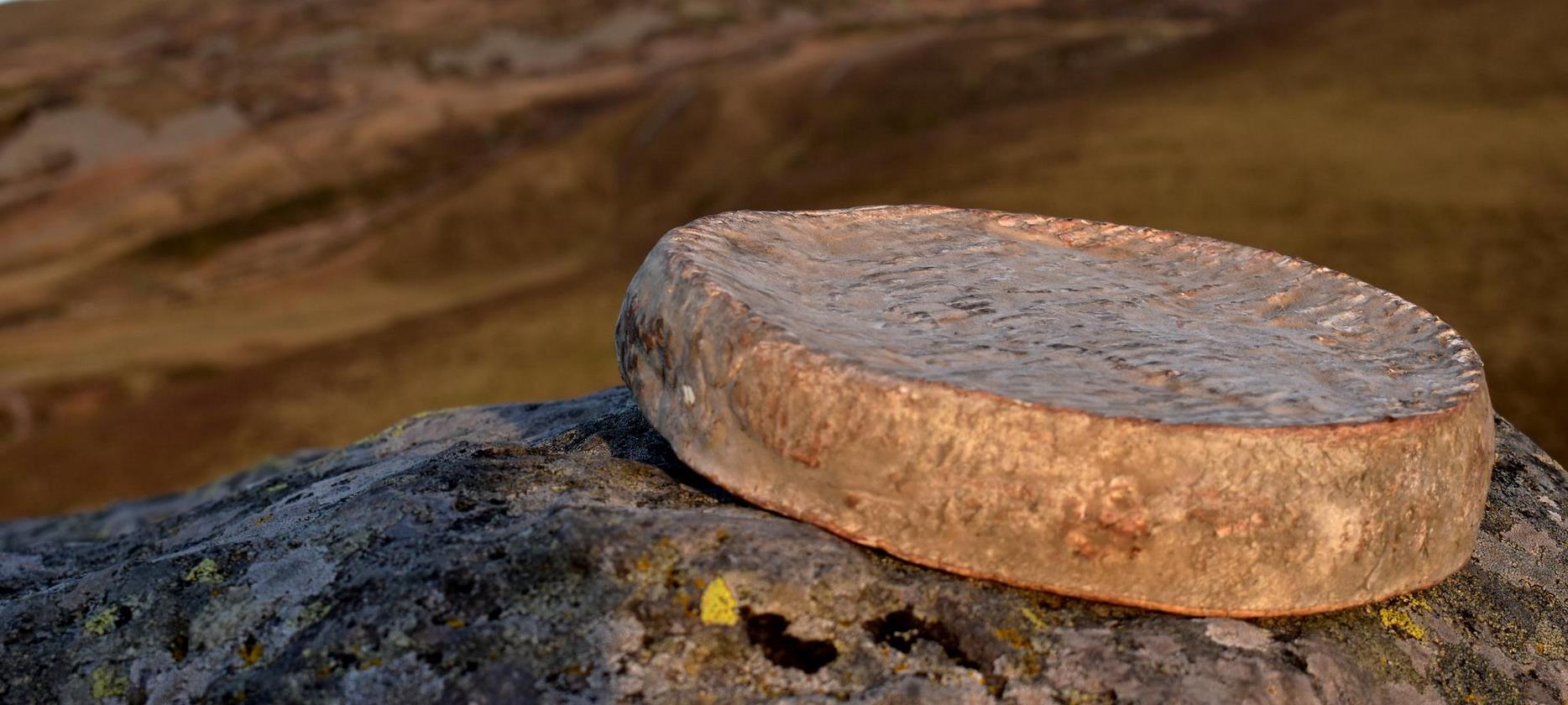 Saint Nectaire - celebre Fromage de appellation Saint Nectaire