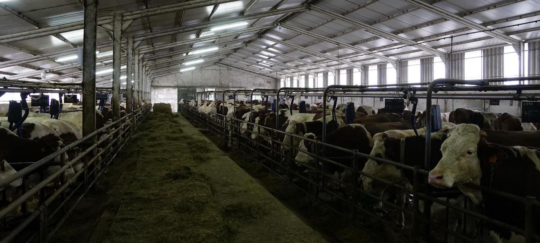 ferme de fabrication du Saint Ncctaire