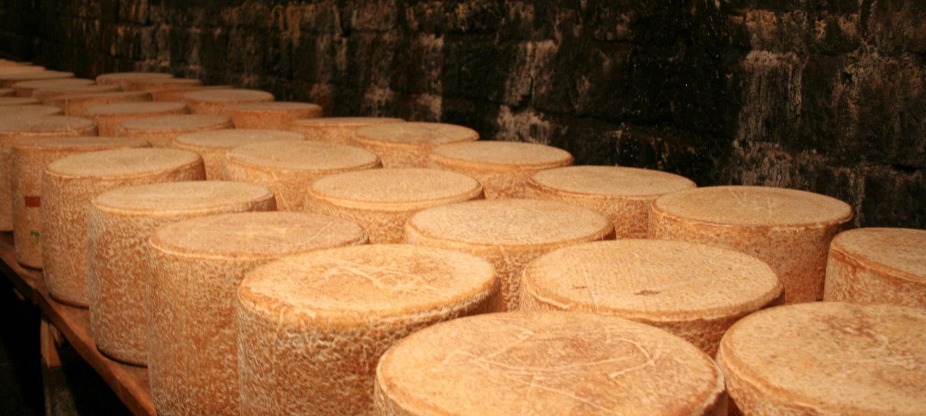 Le Cantal - AOC Fromage d'auvergne - Cave d'affinage
