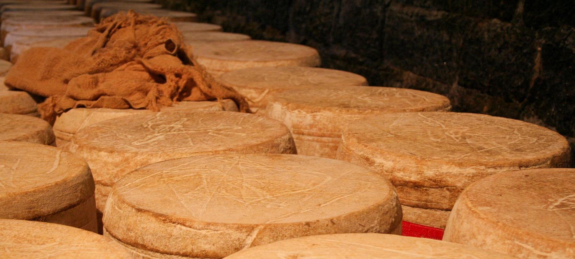 Le Cantal - AOC Fromage d'auvergne - Cave d'affinage