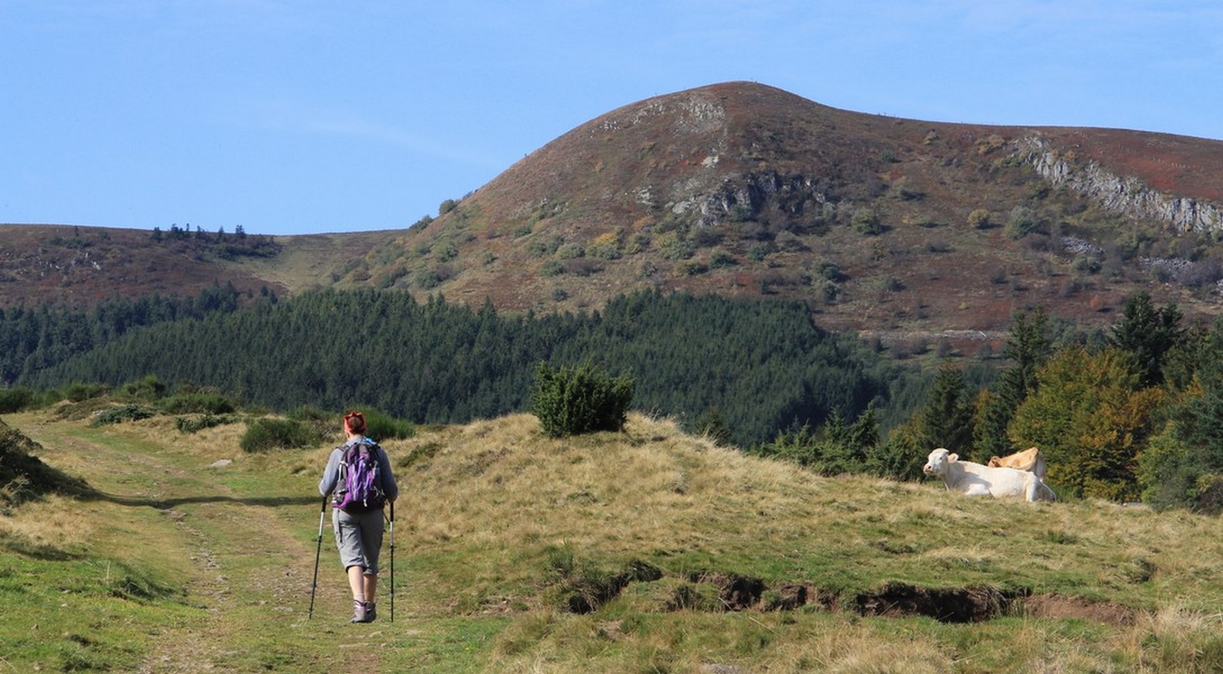 Randonneur dans le Parc Naturel du Sancy