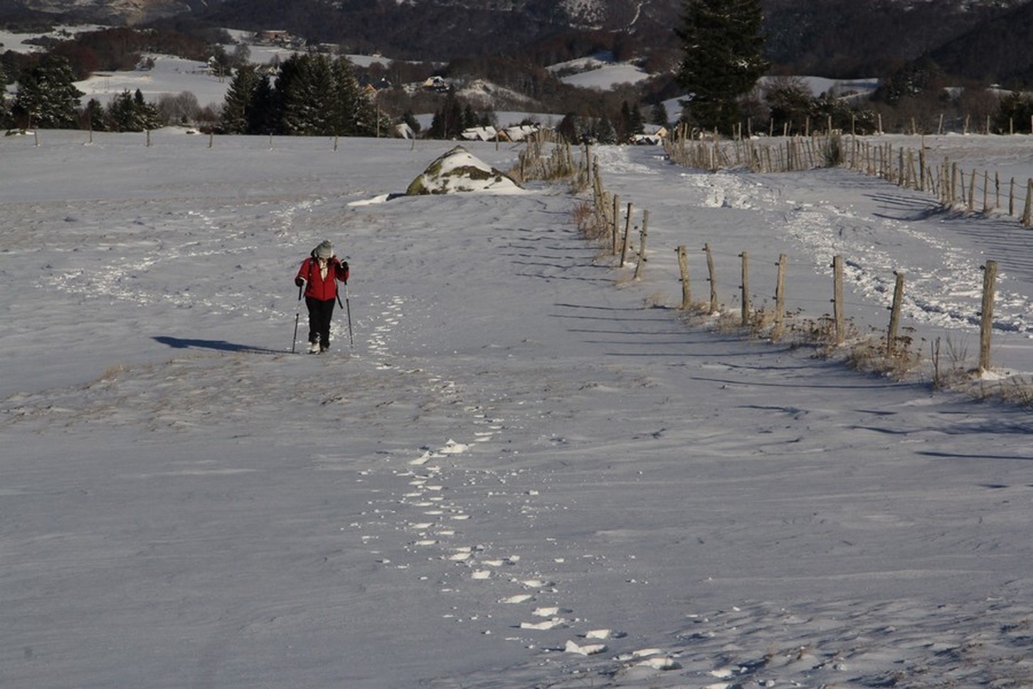 Ballade en raquette dans le massif du Sancy