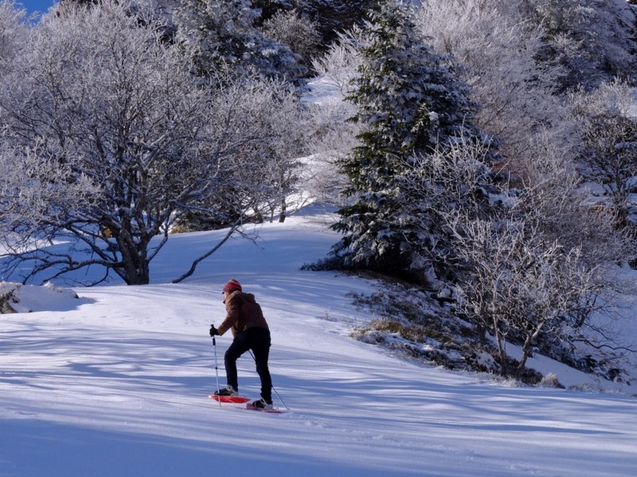 Raquette sous la neige dans le Sancy