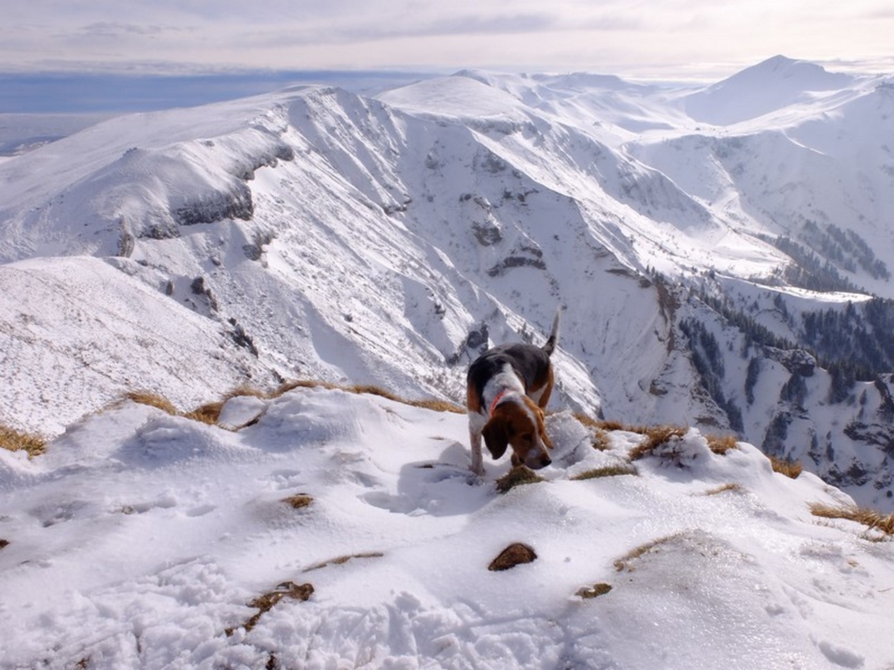 Randonnee Val de Courre - Mont Dore dans le Massif du Sancy