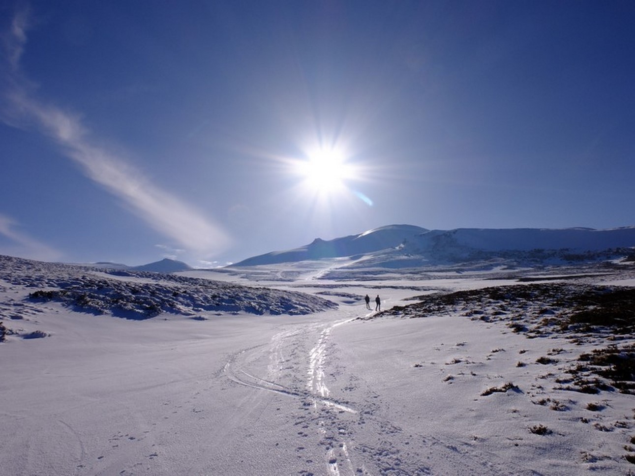Randonnee dans le parc naturel du Sancy