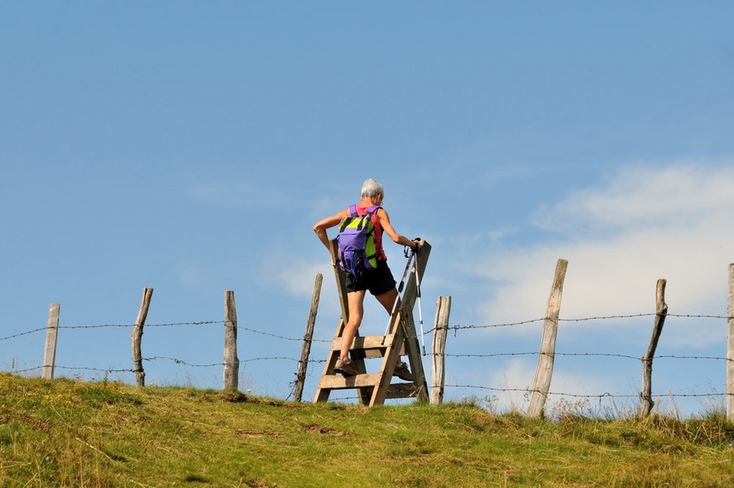 Puy de Sancy - randonneur sur un  passage entre les prés