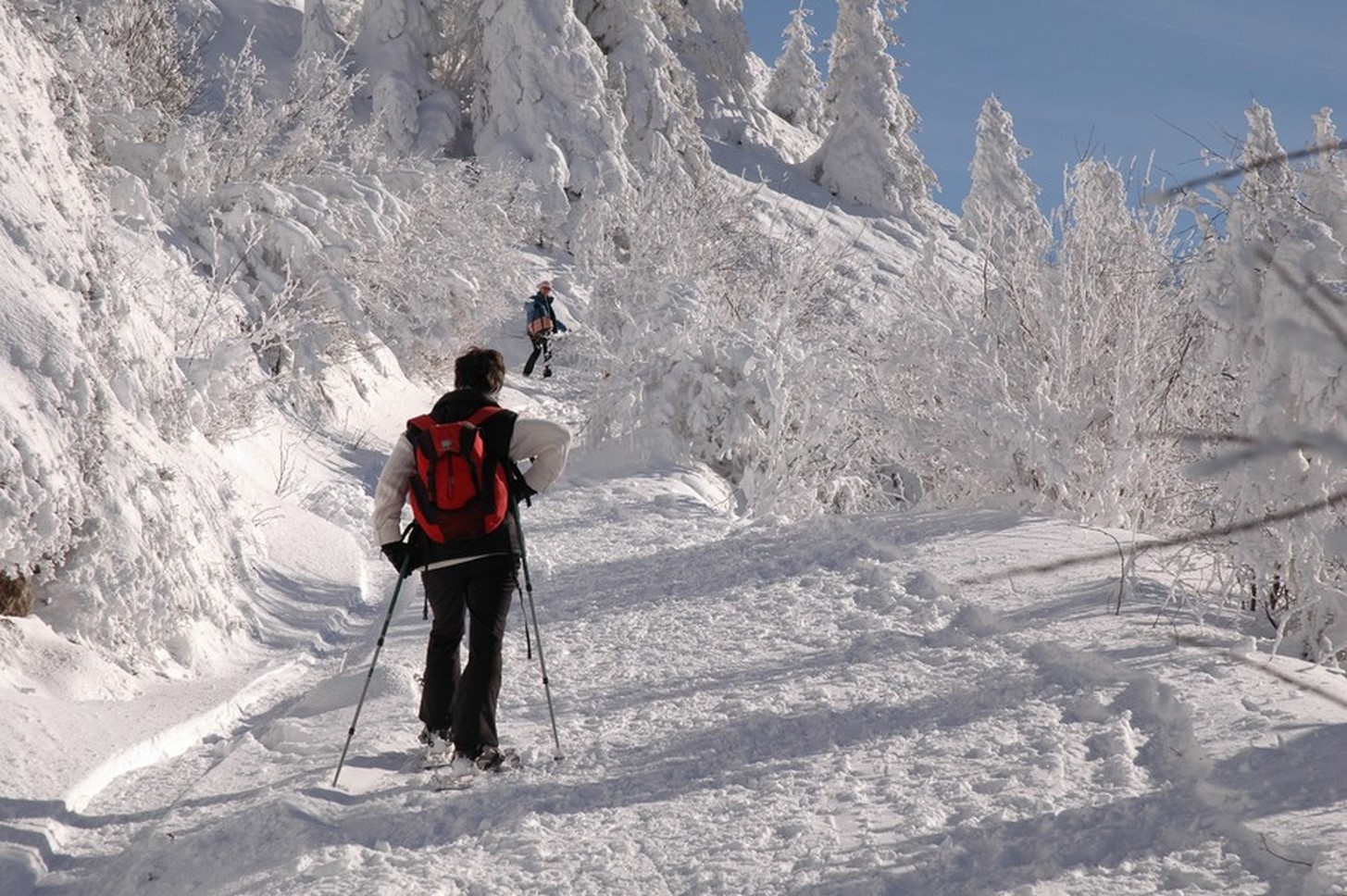 Puy de dôme - randonnée en raquette sous le neige