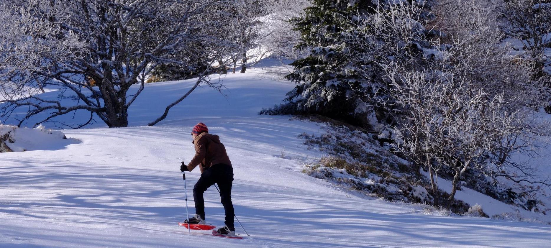 Super besse - Randonnee en raquette dans le massif du Sancy