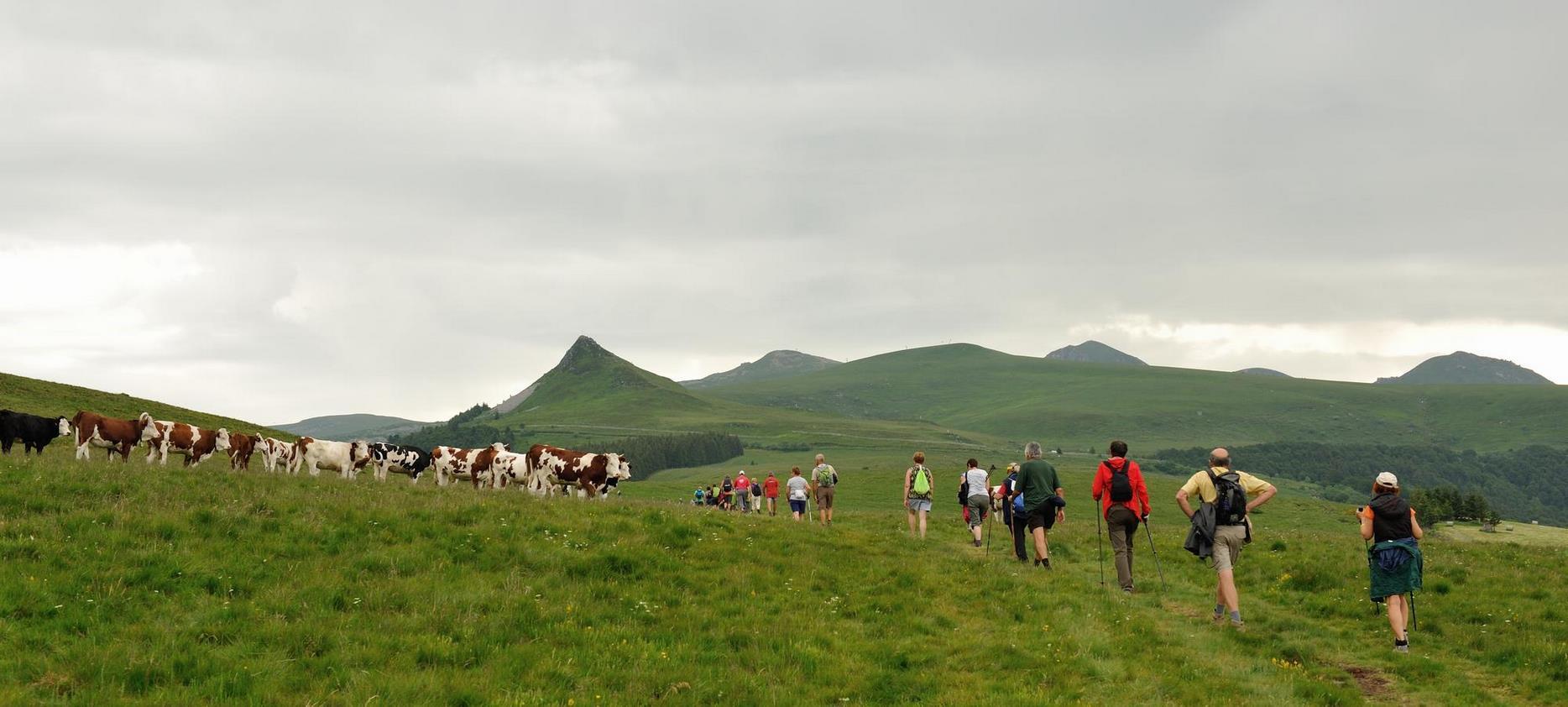 Super Besse - Randonnee dans les estives du Parc Naturel du Sancy