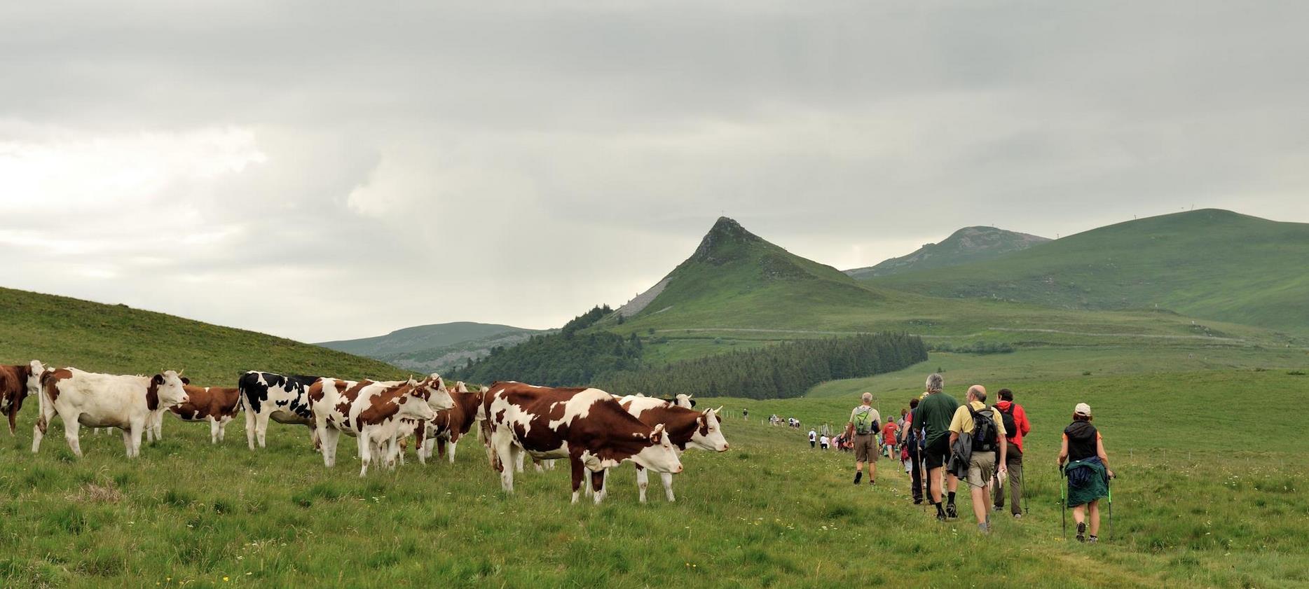 Super Besse - Randonnee dans les estives du Parc Naturel du Sancy