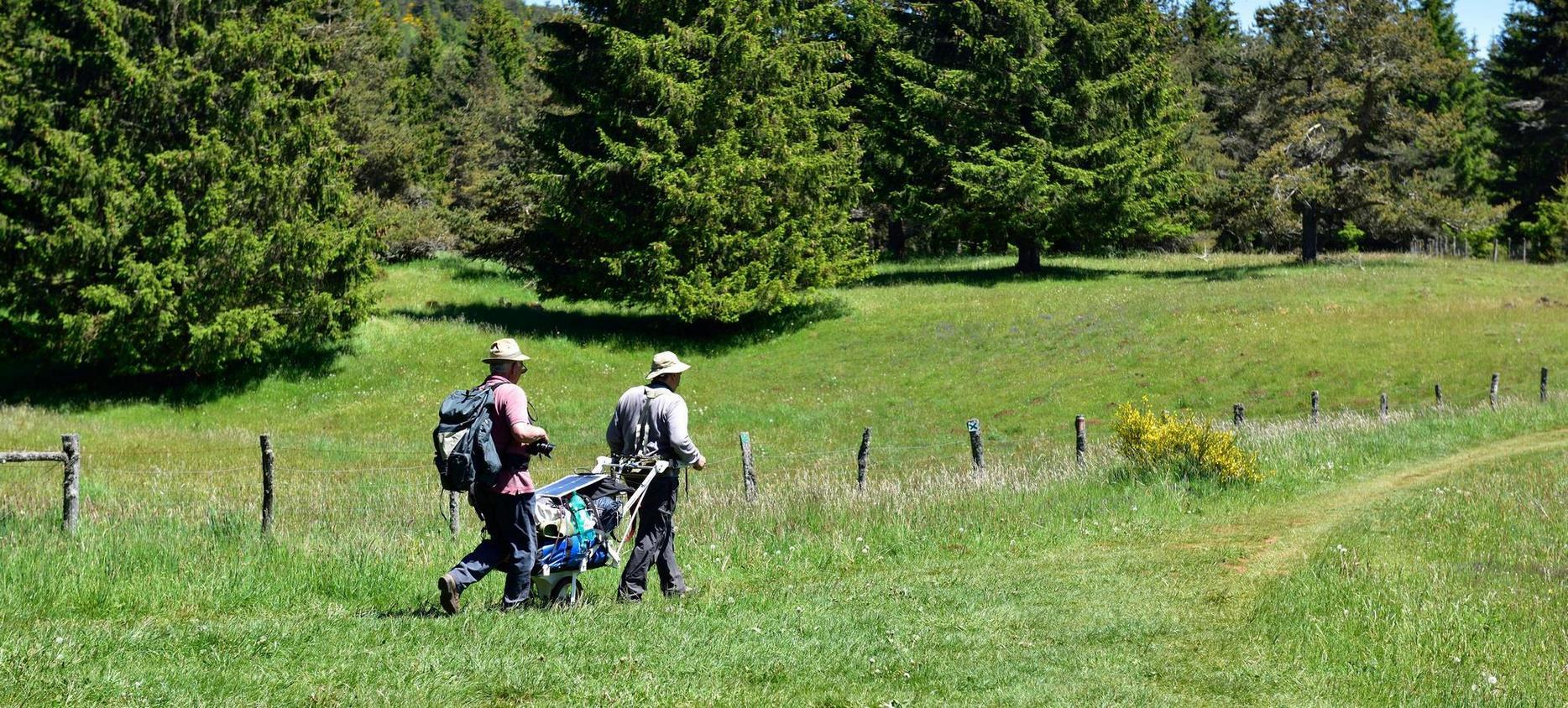 Super besse - Couple de randonneur dans les pres