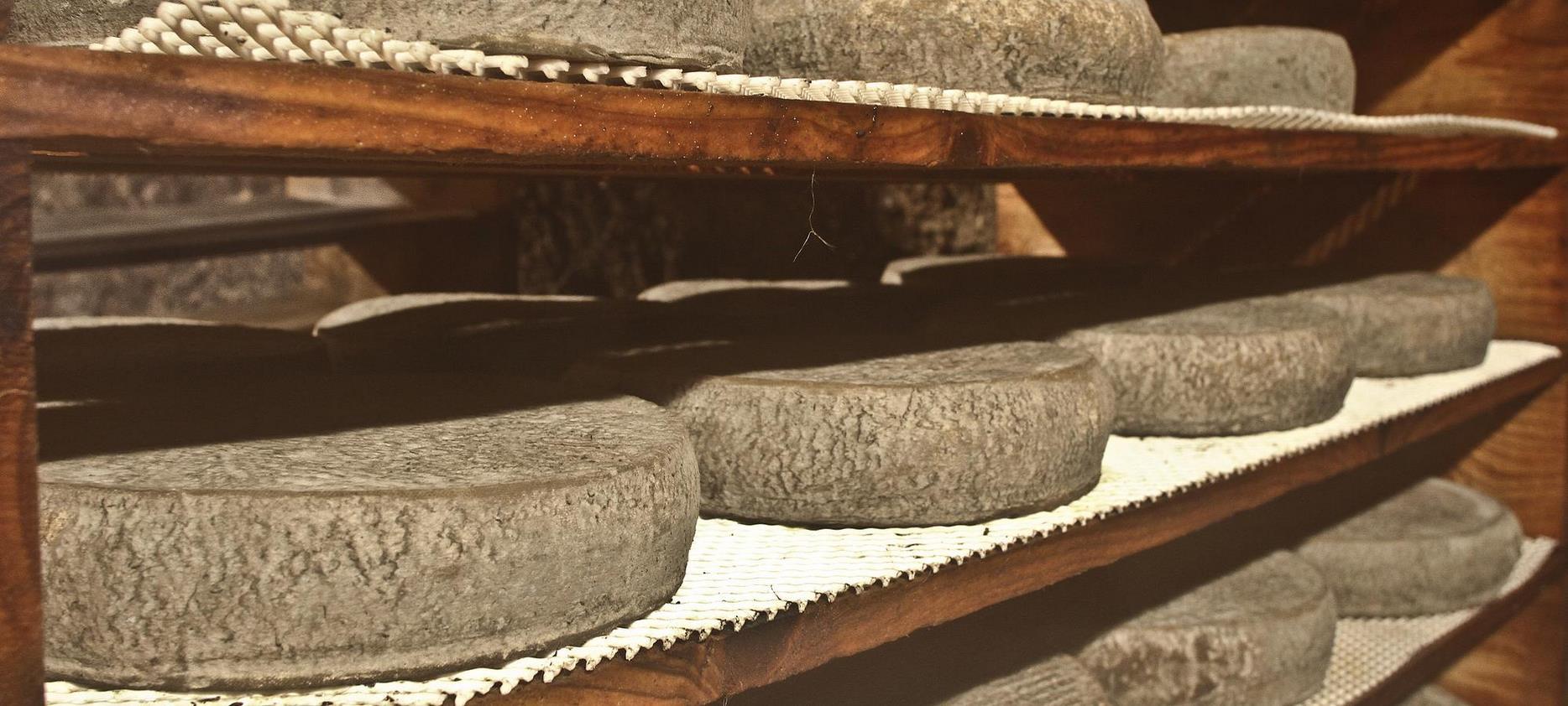 Super Besse - Affinage du Saint Nectaire en Cave - Fromage Aoc du Puy de dôme