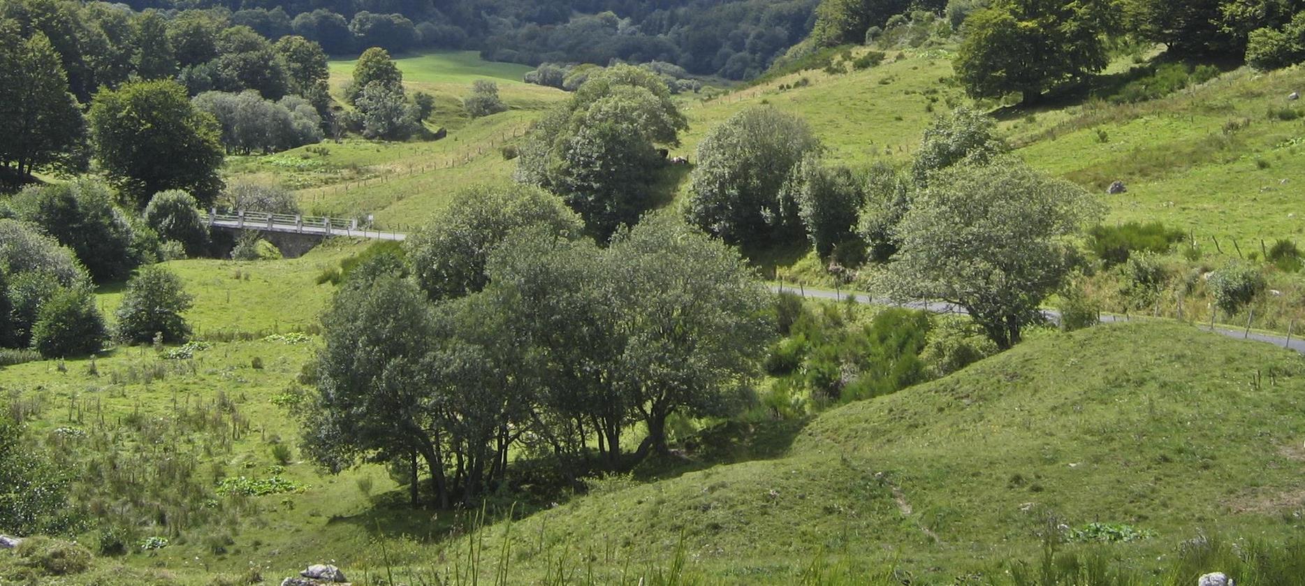 Super Besse - Le chemin de balade de la Vallee de Chaudefour