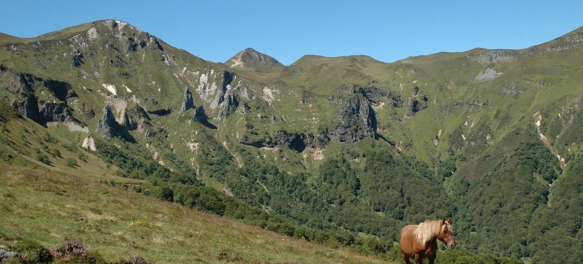 Super Besse - Cheval dans le parc naturel de la Vallée de Chaudefour