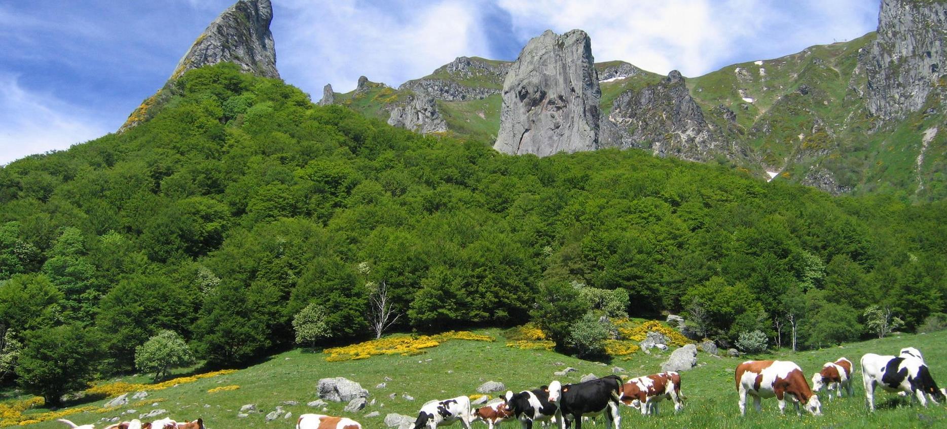 Super Besse -la Vallée de Chaudefour - la Dent de la Rancune et la crête de Coq
