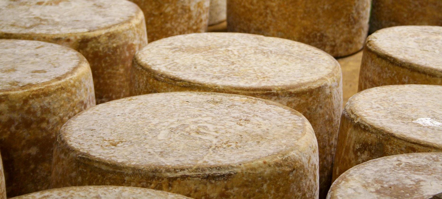 Fromage Aop Auvergne - Affinage du Cantal en cave