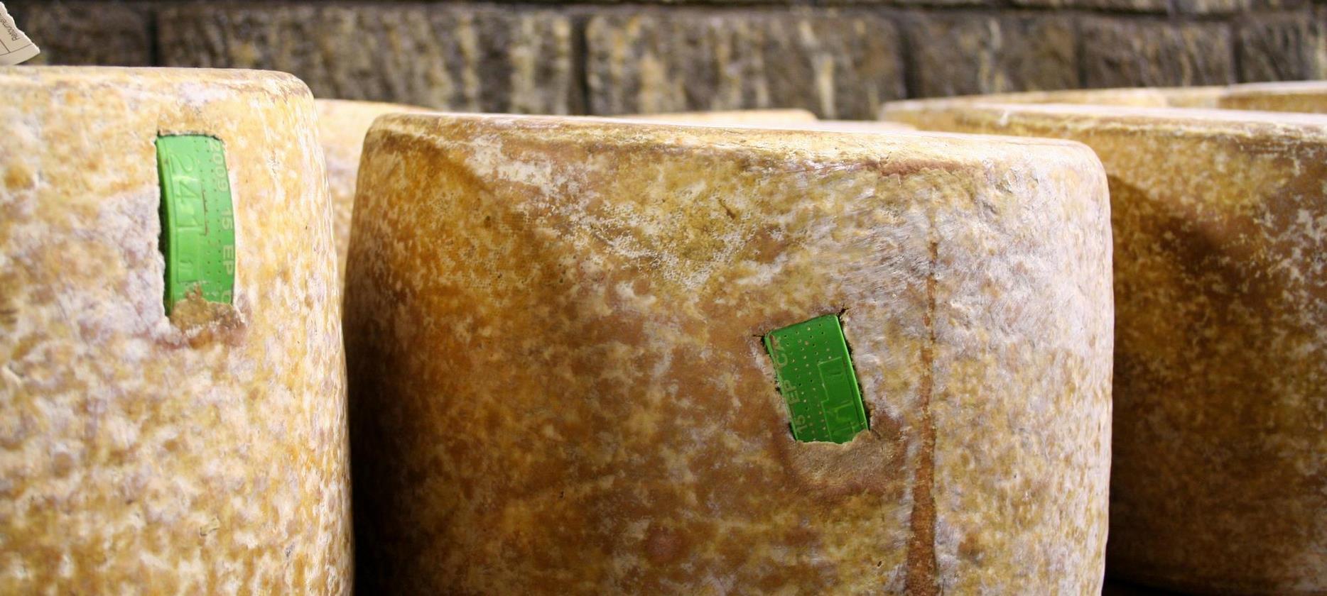 Fromage Aop Auvergne - affinage du Cantal en cave