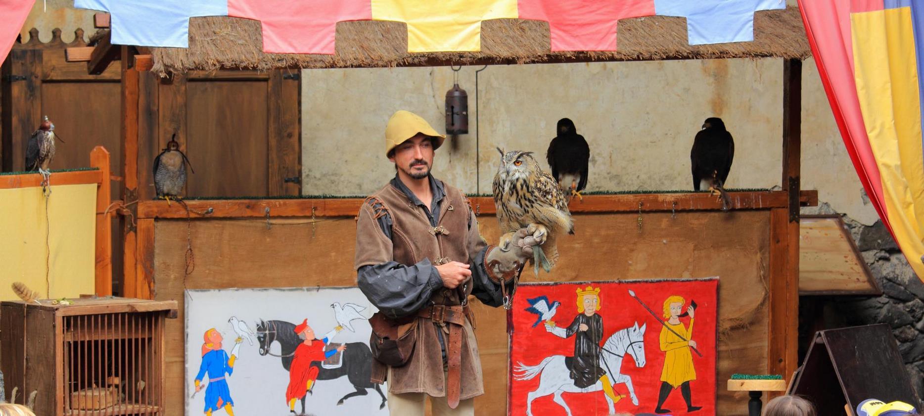spectacle de Fauconnerie au château de Murol