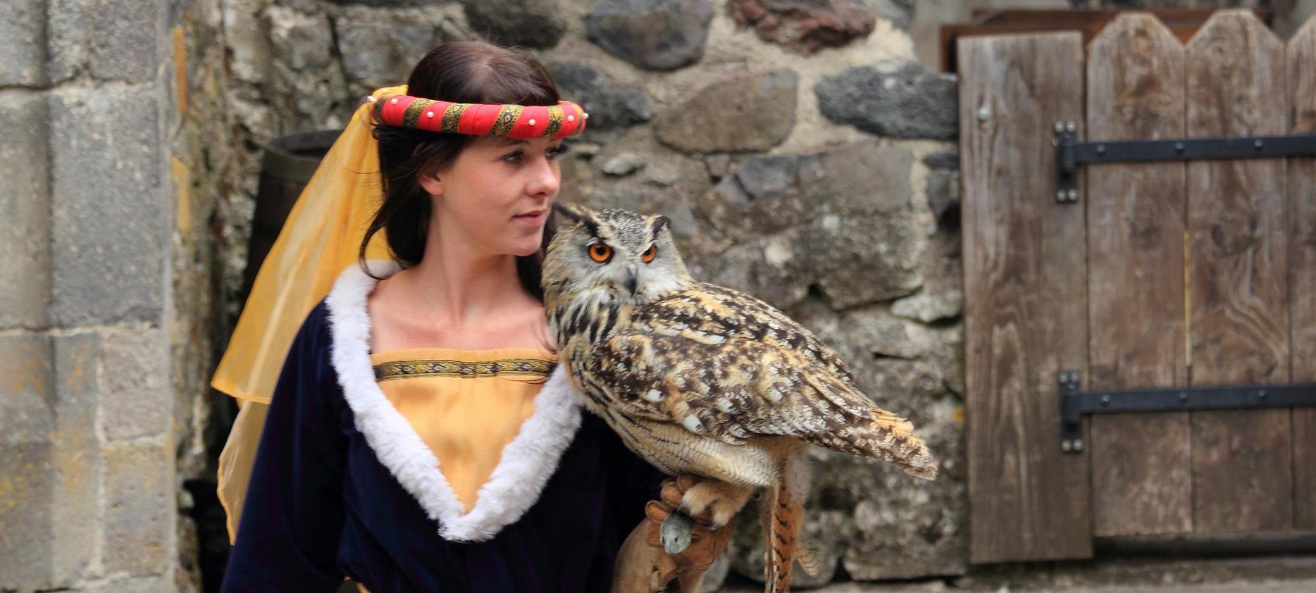 Super Besse - travail de fauconnerie a la Forteresse de Murol