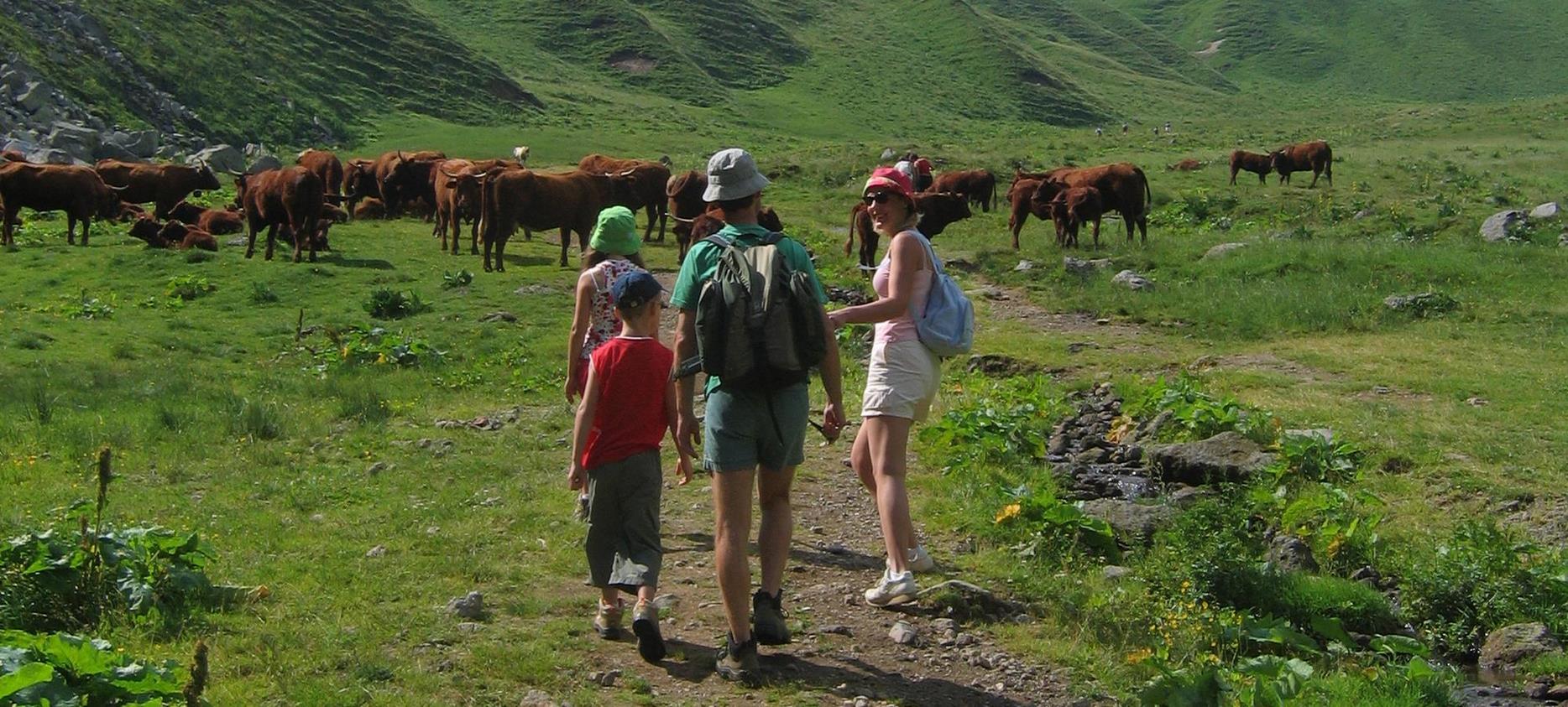 Massif du Sancy - Famille de Randonneurs dans la Sancy