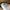 lit king size 1 ou 2 personnes, Chevets, tapis de peau de vache
