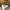 lit king size 1 ou 2 personnes, Chevets, tapis de peau de vache