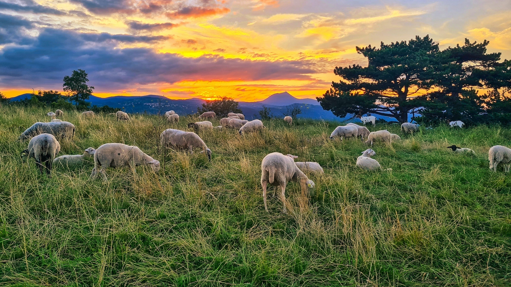 Plateau de Gergovie, coucher de soleil sur la chaine des Puys et le Puy de Dome