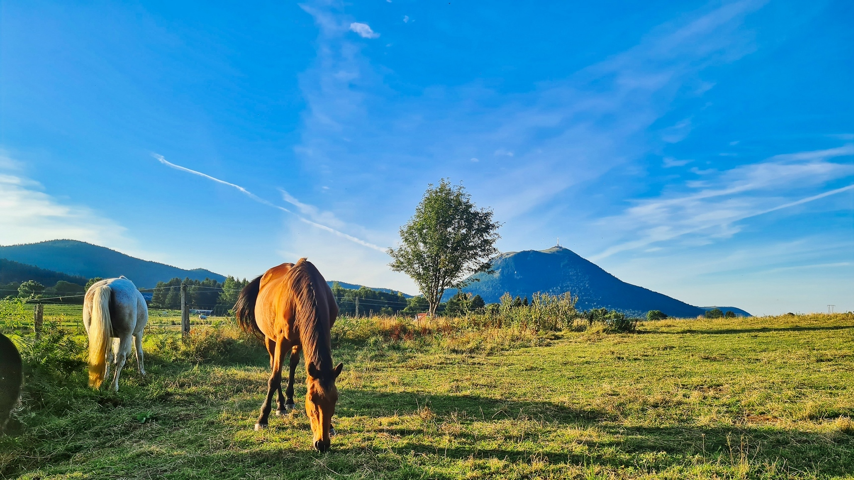 Campagne Auvergnate, le Puy de Dome dominant la campagne auvergnate