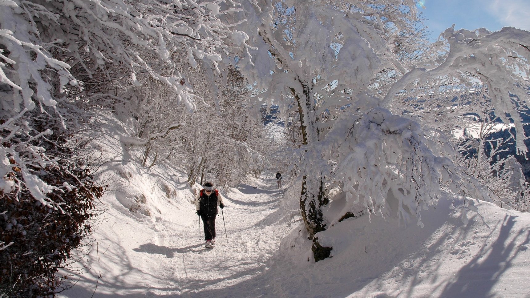 Chemin des Muletiers vers le Sommet du Puy de Dome