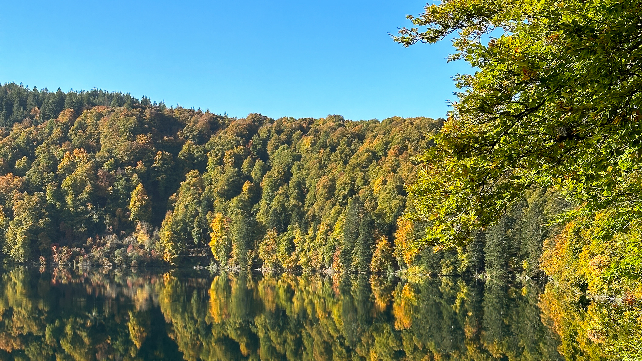 Les arbres se sont parés des couleurs automnales au Lac Pavin