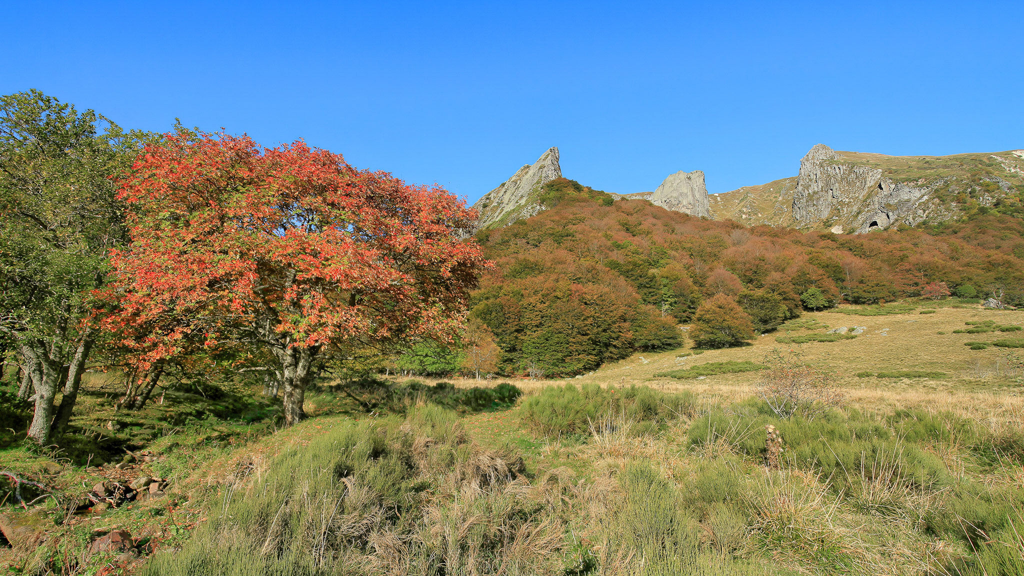 la Vallee de Chaudefour a l'Automne