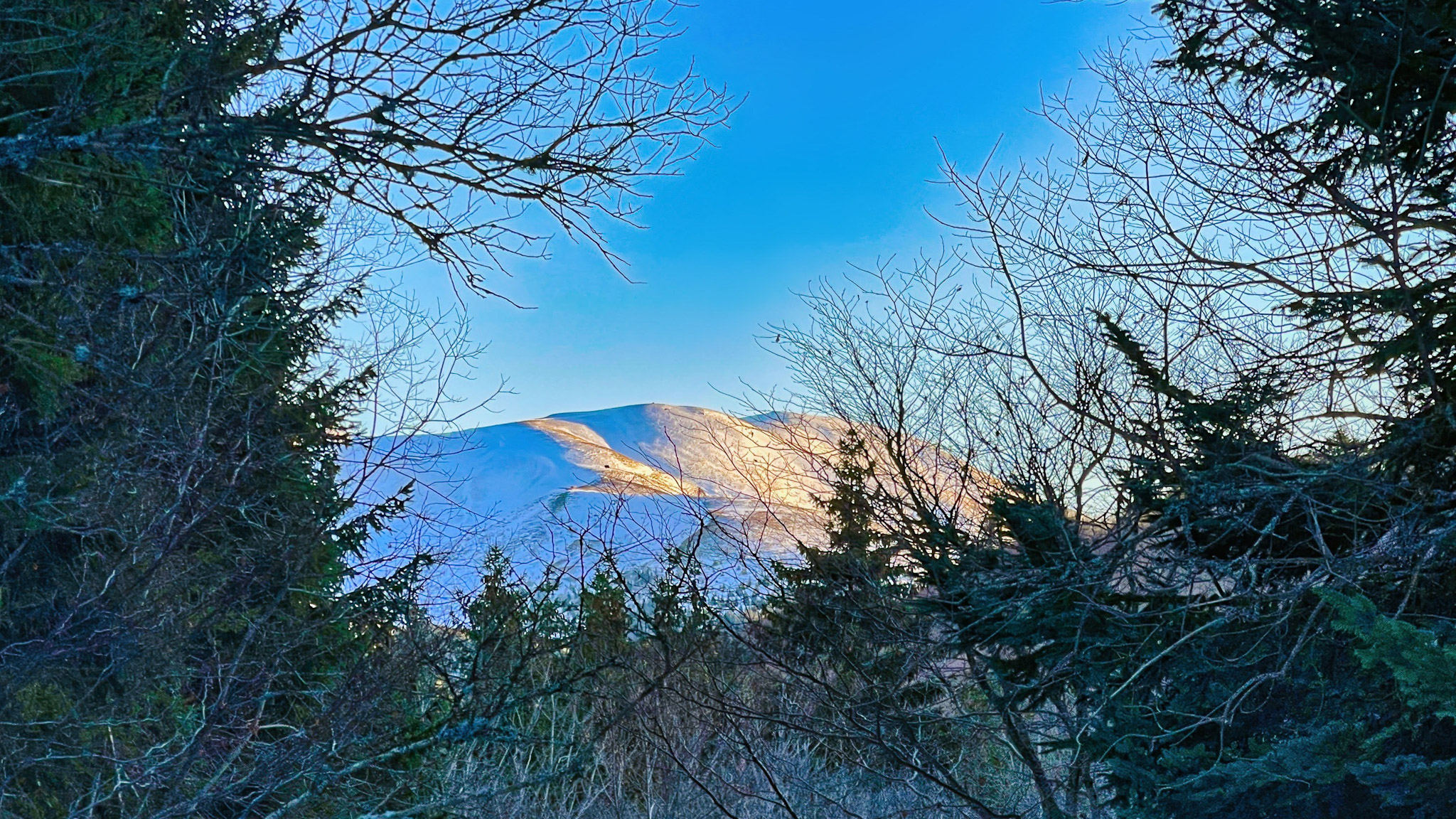 Le Lac de Guéry et le Massif Adventif