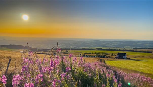 Montée vers le Sommet de la Banne d'Ordanche pour le Coucher du Soleil