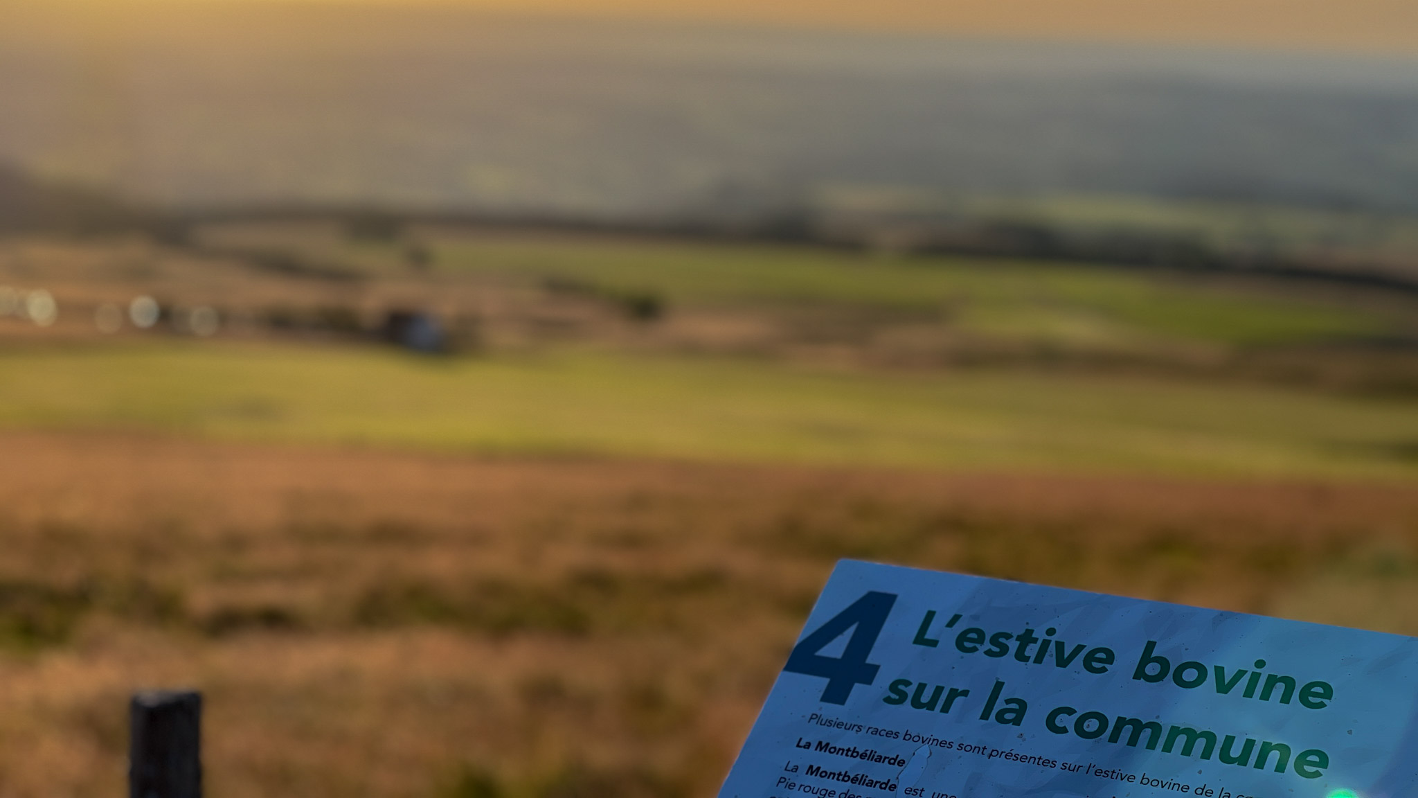 Dans les Estives du Massif du Sancy pour monter à la Banne d'Ordanche
