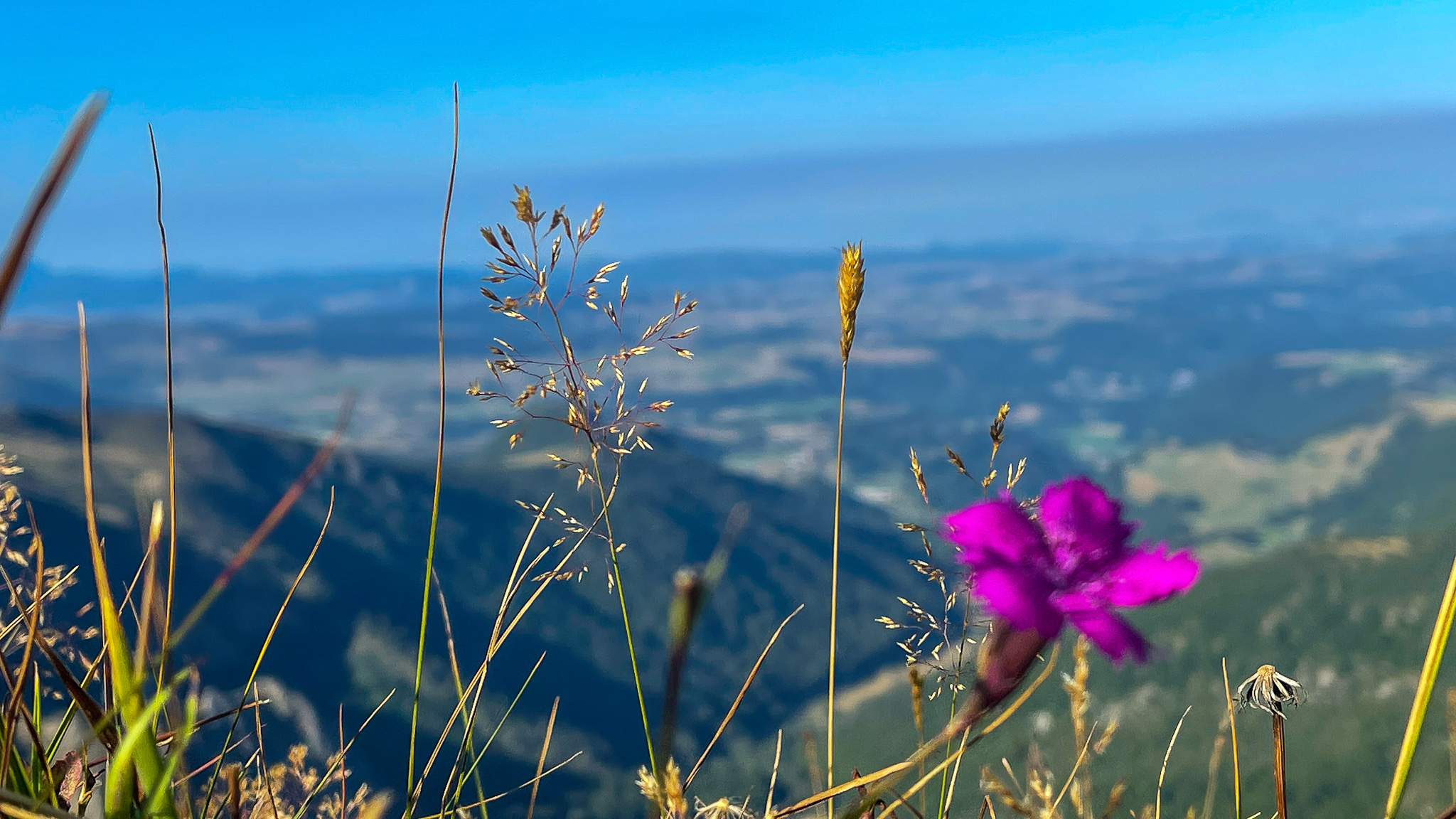 Puy de la Perdrix, vue sur la Vallée de Chaudefour