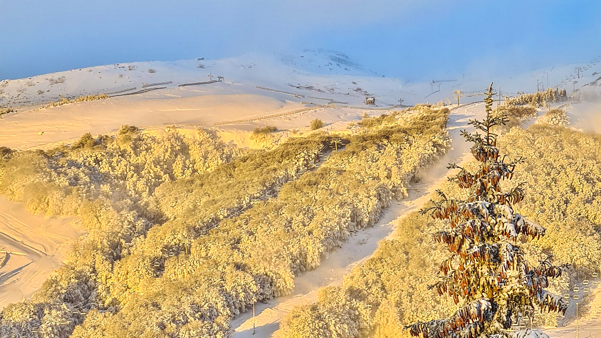 Chalet Cascade Super Besse, les arbres couverts de neige