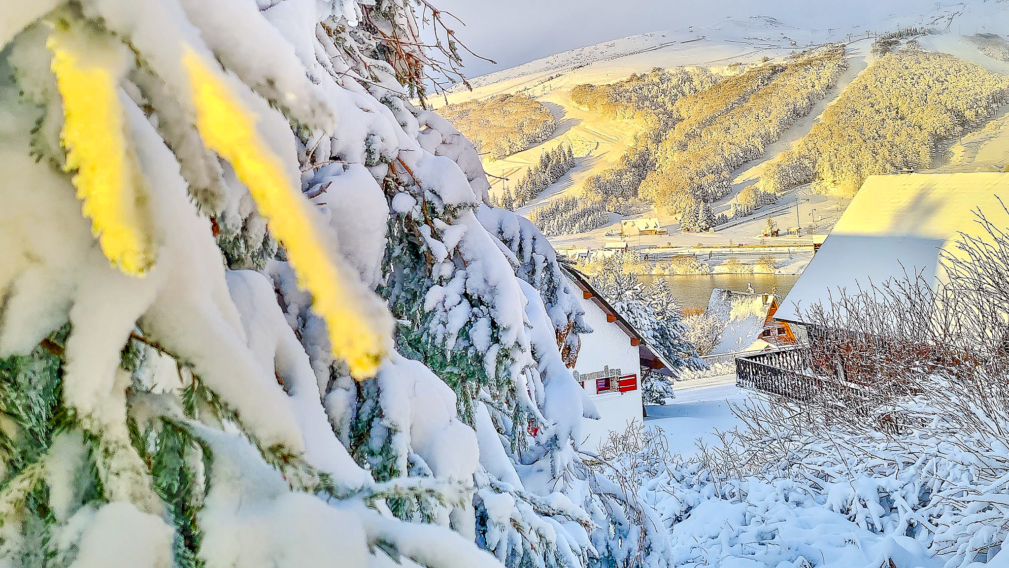 Chalet Cascade Super Besse, les arbres couverts de neige