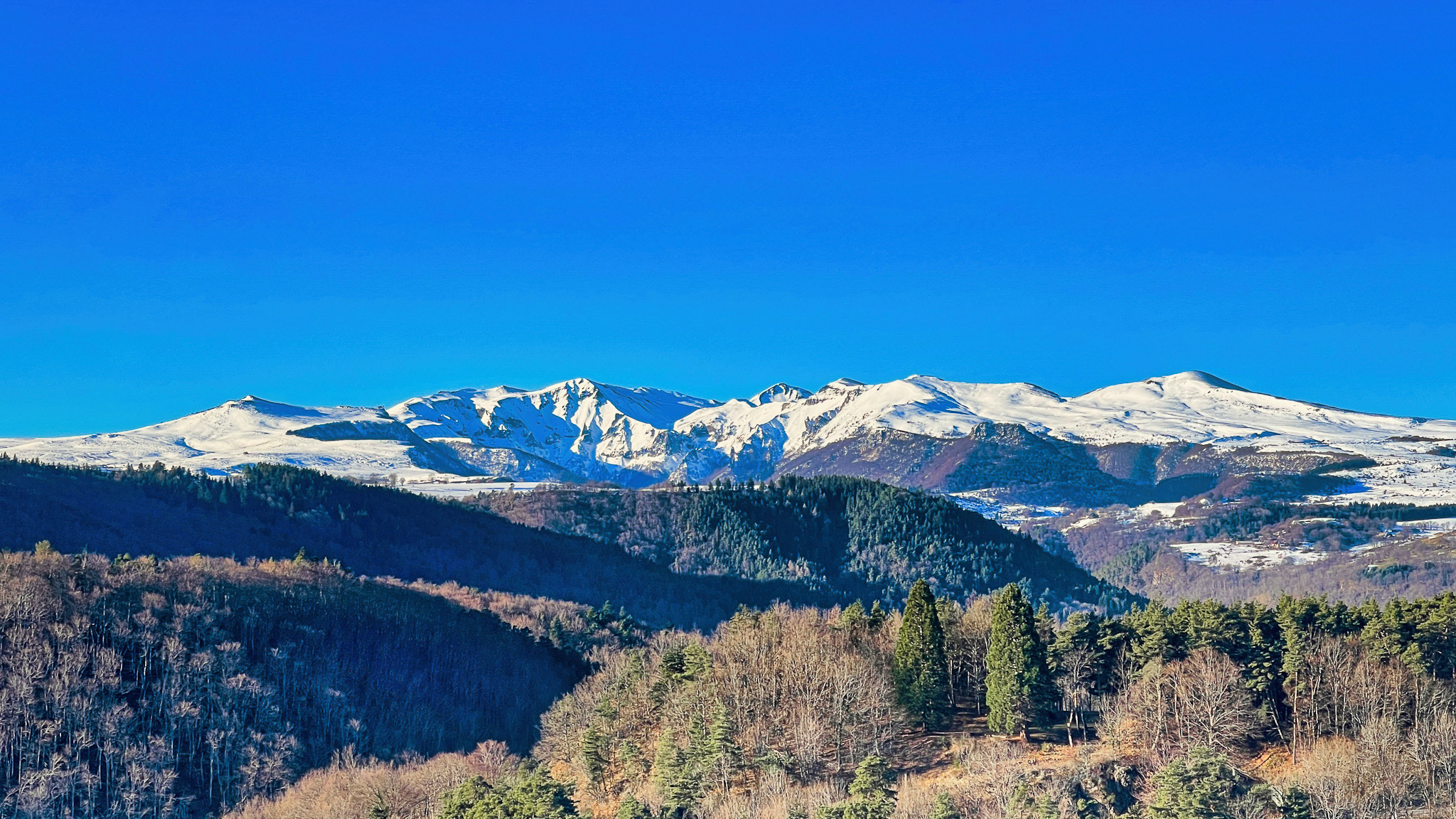 La Forêt auvergnate et le Massif du Sancy