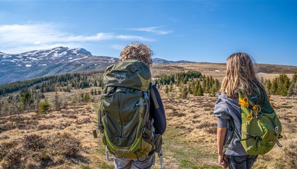 Massif Central, randonnée dans le Massif du Sancy au printemps
