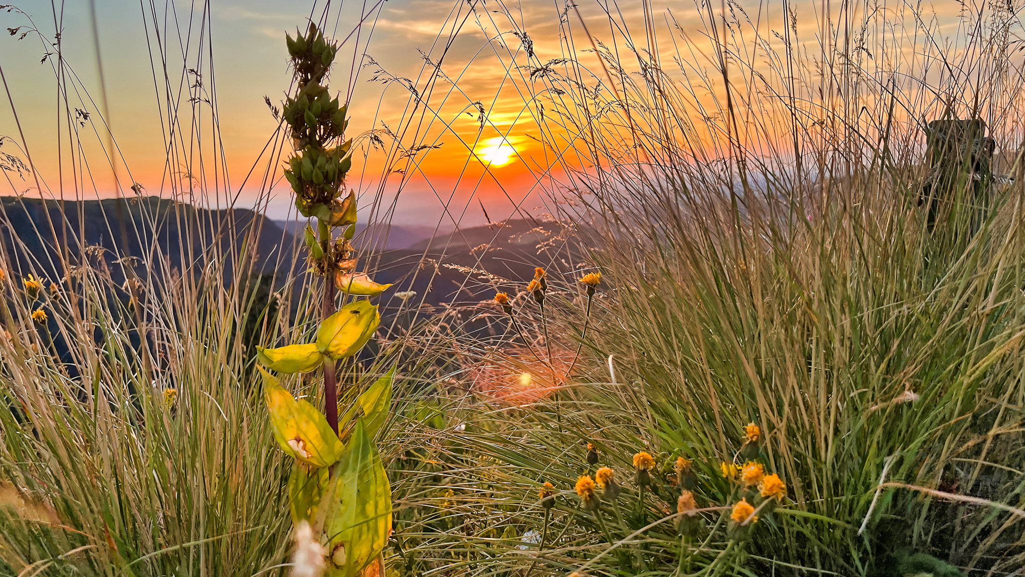 Coucher de soleil au Sommet du Capucin au Mont Dore