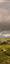 Paysage du Cantal